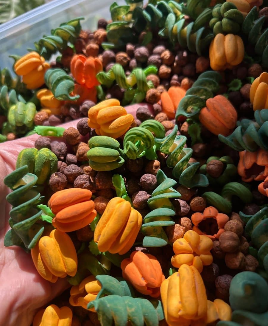 A scoop of pumpkin patch sensory bin filler